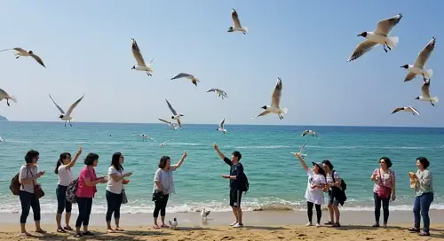 추석 연휴 국내 여행, 지금 당장 예약해야 할 TOP 5 명소